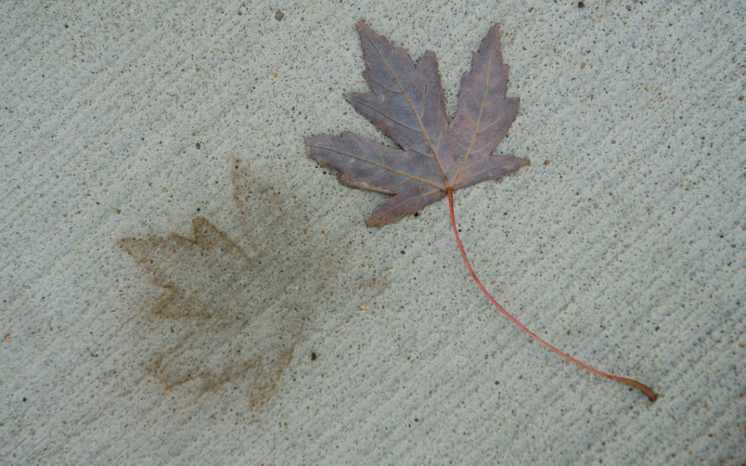 How Do I Pressure Wash Leaf Stains From Concrete?