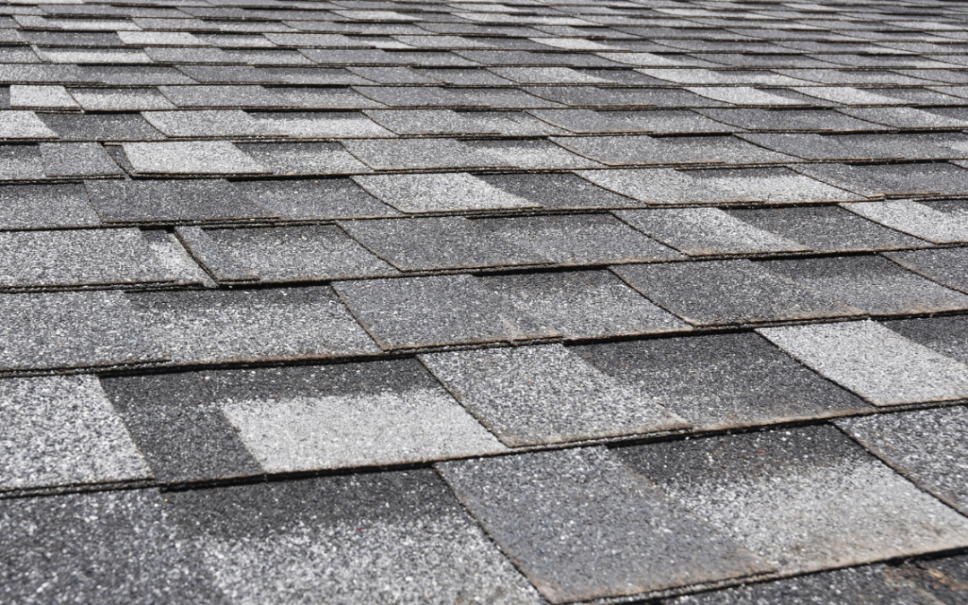 How Often Should Your Roof Shingles Be Soft Washed?