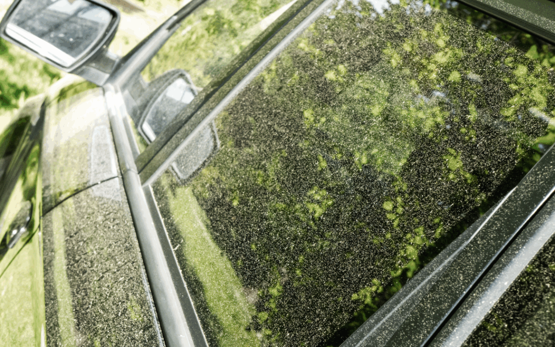 Can Pressure Washing Help With Seasonal Allergies