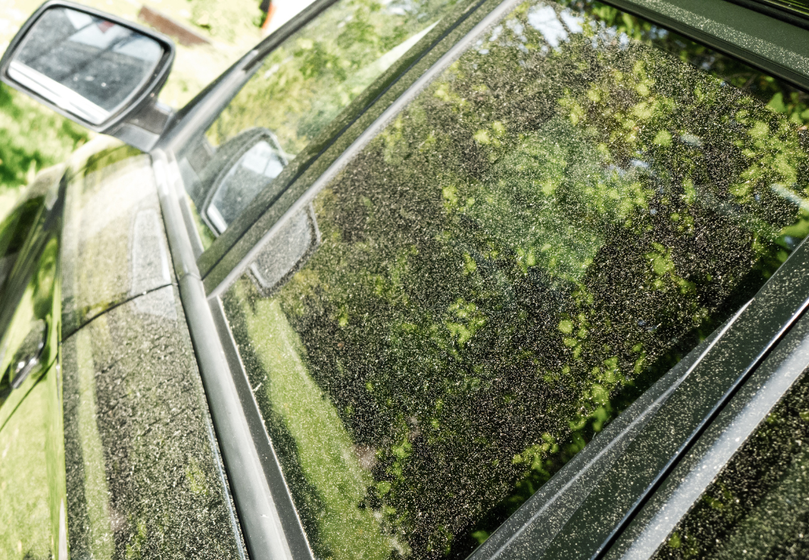 pollen Can Pressure Washing Help With Seasonal Allergies